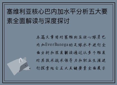 塞维利亚核心巴内加水平分析五大要素全面解读与深度探讨