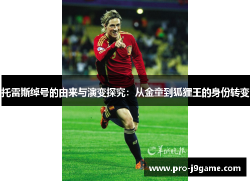 托雷斯绰号的由来与演变探究：从金童到狐狸王的身份转变