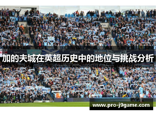 加的夫城在英超历史中的地位与挑战分析 加的夫城在英超历史中的地位与挑战分析