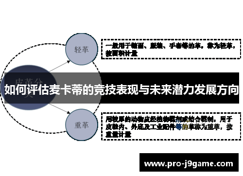 如何评估麦卡蒂的竞技表现与未来潜力发展方向