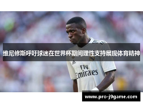 维尼修斯呼吁球迷在世界杯期间理性支持展现体育精神