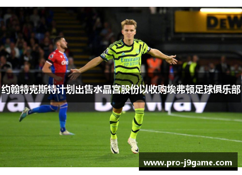 约翰特克斯特计划出售水晶宫股份以收购埃弗顿足球俱乐部