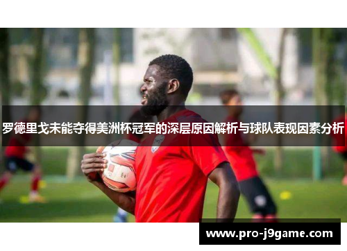 罗德里戈未能夺得美洲杯冠军的深层原因解析与球队表现因素分析